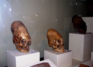 Skulls - Paracas 